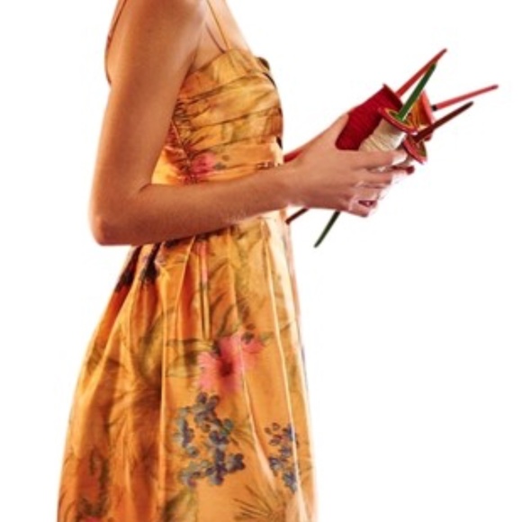 Anthropologie James Coviello Botanica dress - Picture 2 of 7